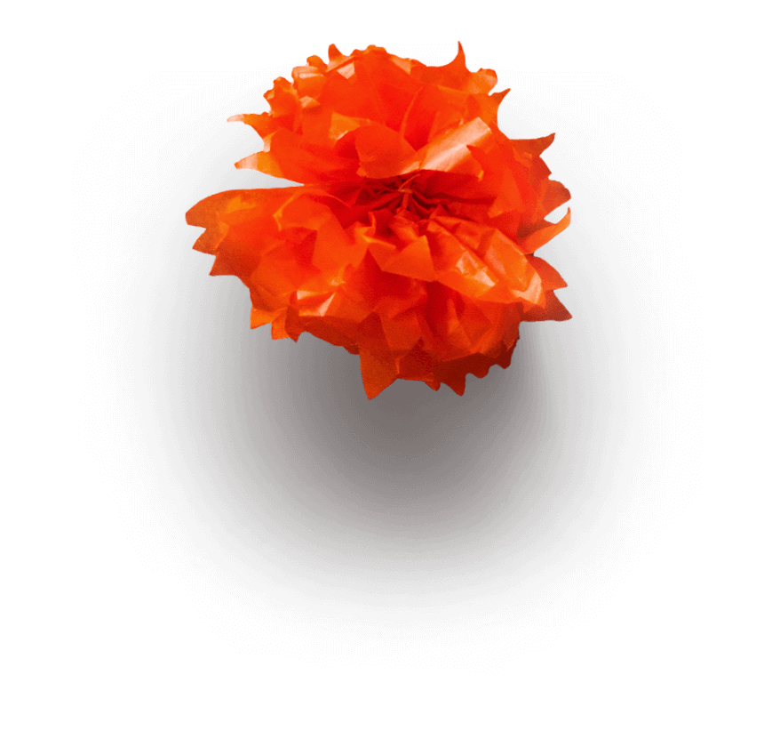 Flor de papel