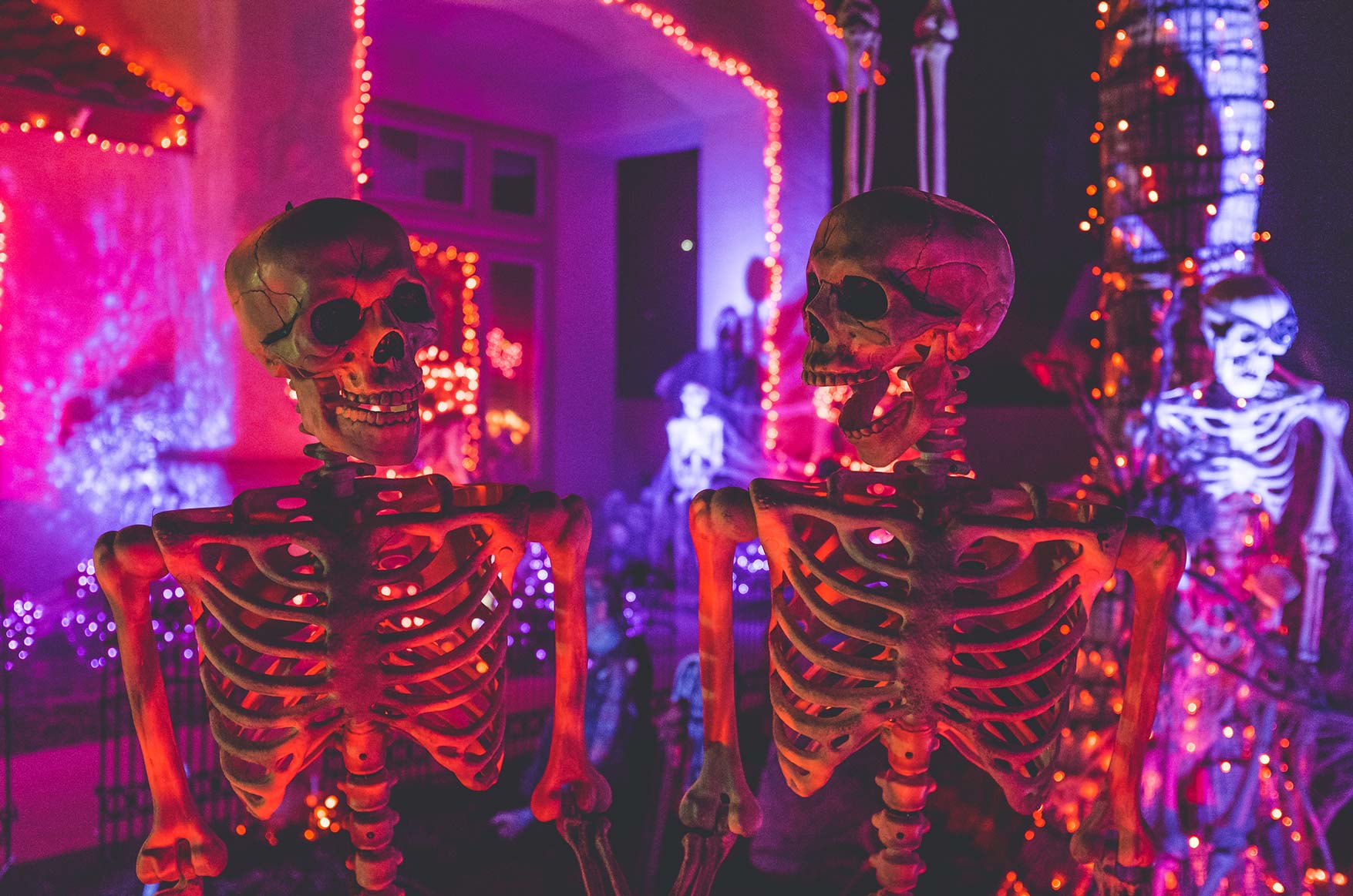Skeletons in front of a House Skeletons in front of a House